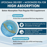 Ulmubra Liposomal Palmitoylethanolamide 1300 MG Plus Luteolin 100 MG, Superior Absorption, Micronized Pea Supplement for Discomfort Management, 60 Softgels