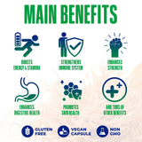 Sea Moss Black Seed Oil Ashwagandha Ginger - Advanced Irish Sea Moss Capsules All in One Supplement with Seamoss Black Seed Oil Ashwagandha Burdock Root Bladderwrack - Pills for Energy, Immune, Gut