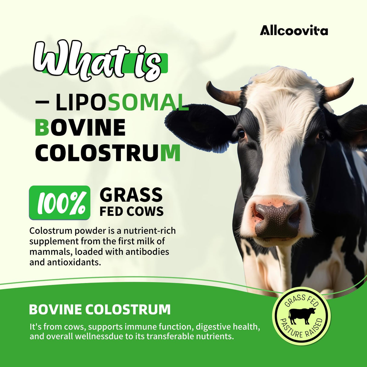 Liposomal Bovine Colostrum Powder - Pure Bovine Colostrum for Humans - Grass Fed Colostrum Supplement for Gut Support, Immune Health and Hair Growth,72 Servings per Bottle.180g/6.35 oz