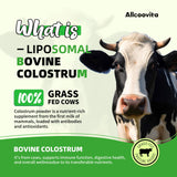Liposomal Bovine Colostrum Powder - Pure Bovine Colostrum for Humans - Grass Fed Colostrum Supplement for Gut Support, Immune Health and Hair Growth,72 Servings per Bottle.180g/6.35 oz