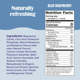 Ultima Replenisher Daily Electrolyte Powder Drink Mix – Sugar Free – Blue Raspberry, 90 Servings – Hydration Powder with 6 Electrolytes and Minerals – Keto Friendly, Vegan, Non-GMO