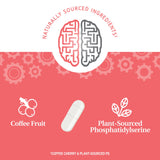 21st Century Brilliant Brain Performance, 30 Count