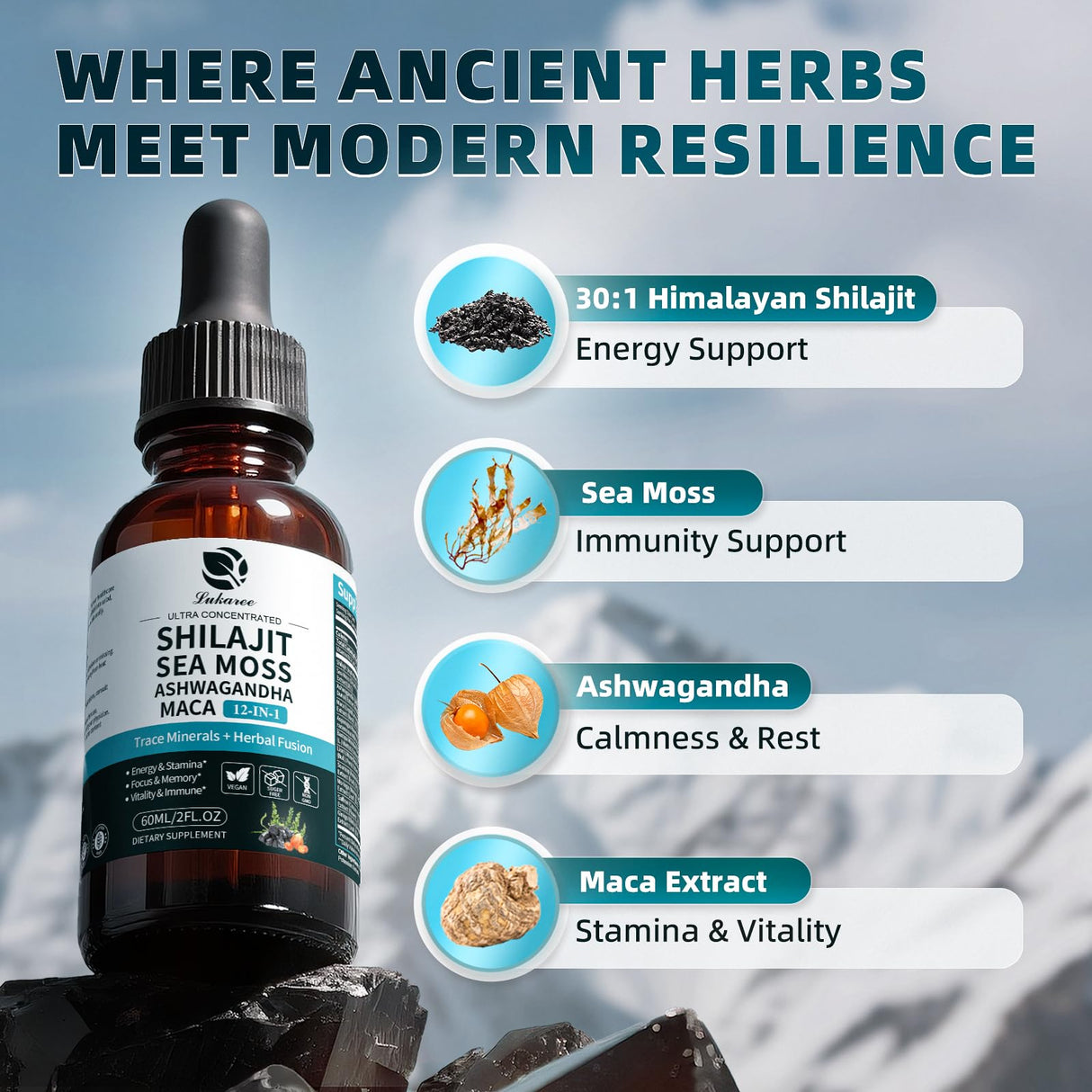 Shilajit Liquid Drops, 12-in-1 Complex - Sea Moss, Ashwagandha, Maca, Fulvic Acid, Trace Minerals, Liquid Vitamins Supplement for Men and Women, Energy, Antioxidant, Immune Support, 60ML/2 FL Oz