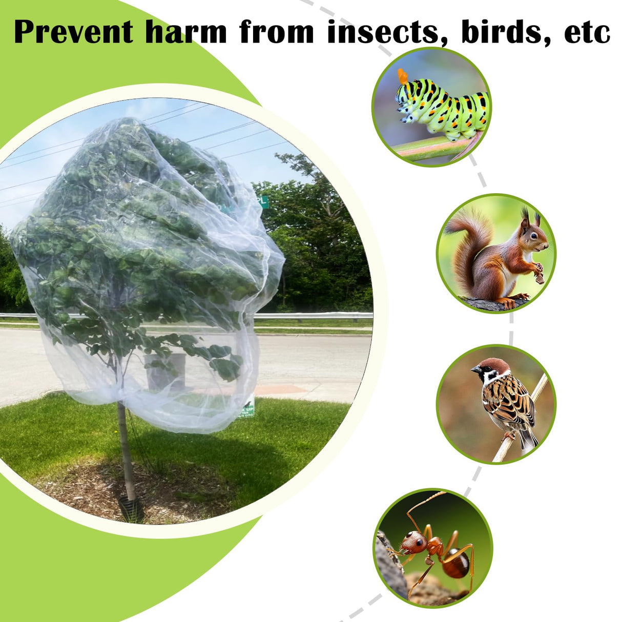 12'x12' Large Fruit Tree Netting with Zipper - Protects Fruit from Squirrels, Birds & Pests, Heavy-Duty Tree Covers for Fruit Trees (White)