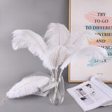 Ballinger White Ostrich Feathers Bulk - Making Kit 10Pcs 28 inch Large Boho Feathers for Vase, Floral Arrangement, Wedding Party Centerpieces and Christmas Home Decorations