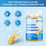 Liposomal Nattokinase 12,000 FU Serrapeptase 360,000 SPU Enzyme Supplement - Enriched with Synergistic Enzymes and Nutrient Blend & Inulin for Circulatory, Gut, Digestion 60 Capsules (1 Bottle)