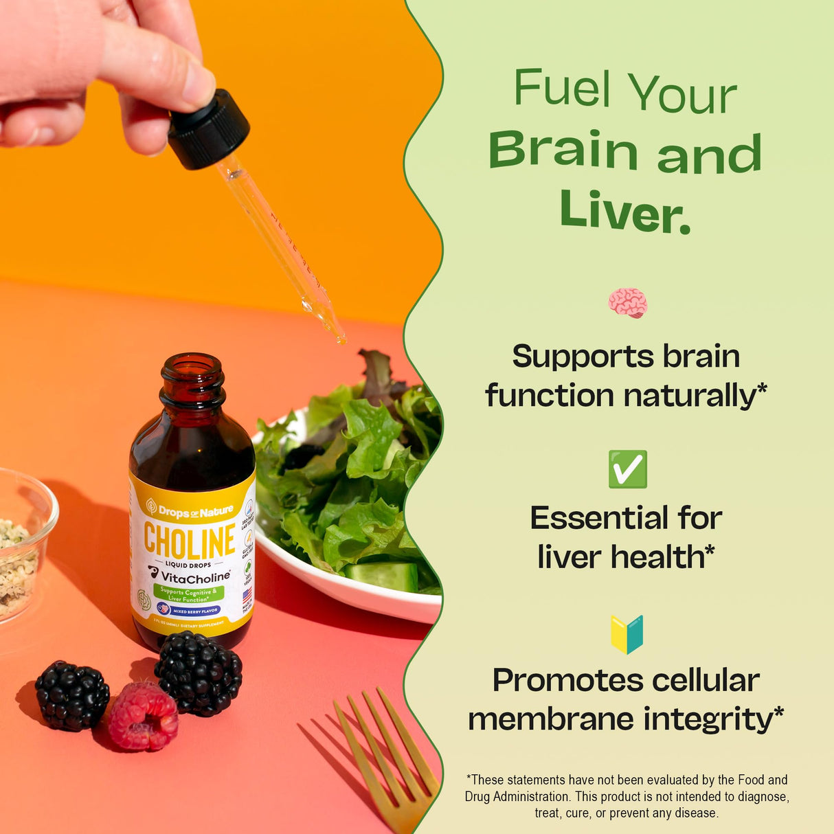 Choline Liquid Drops Supplement – Vegan, Gluten-Free, GMO-Free, Easy Absorption Formula – With Essential Nutrients for Brain Health and Vitality – Complements Inositol Supplements (Mixed Berry, 60 mL)