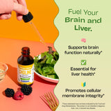 Choline Liquid Drops Supplement – Vegan, Gluten-Free, GMO-Free, Easy Absorption Formula – With Essential Nutrients for Brain Health and Vitality – Complements Inositol Supplements (Mixed Berry, 60 mL)