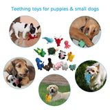 LEGEND SANDY Squeaky Plush Dog Toy Pack for Puppy, Small Puppy Chew Toys