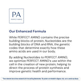 BodyHealth PerfectAmino Powder - BCAA and EAA Powder for Pre and Post Workout - Amino Acid Energy Drink to Support Lean Muscle and Recovery - NSF Certified for Sport - Mixed Berry - 66 Servings