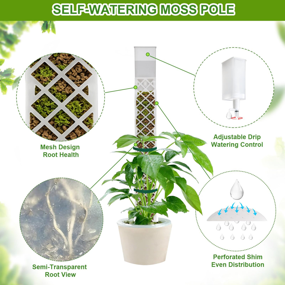 12 Inch Self Watering Moss Pole for Climbing Plants, D Shaped & Stackable
