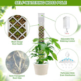 12 Inch Self Watering Moss Pole for Climbing Plants, D Shaped & Stackable