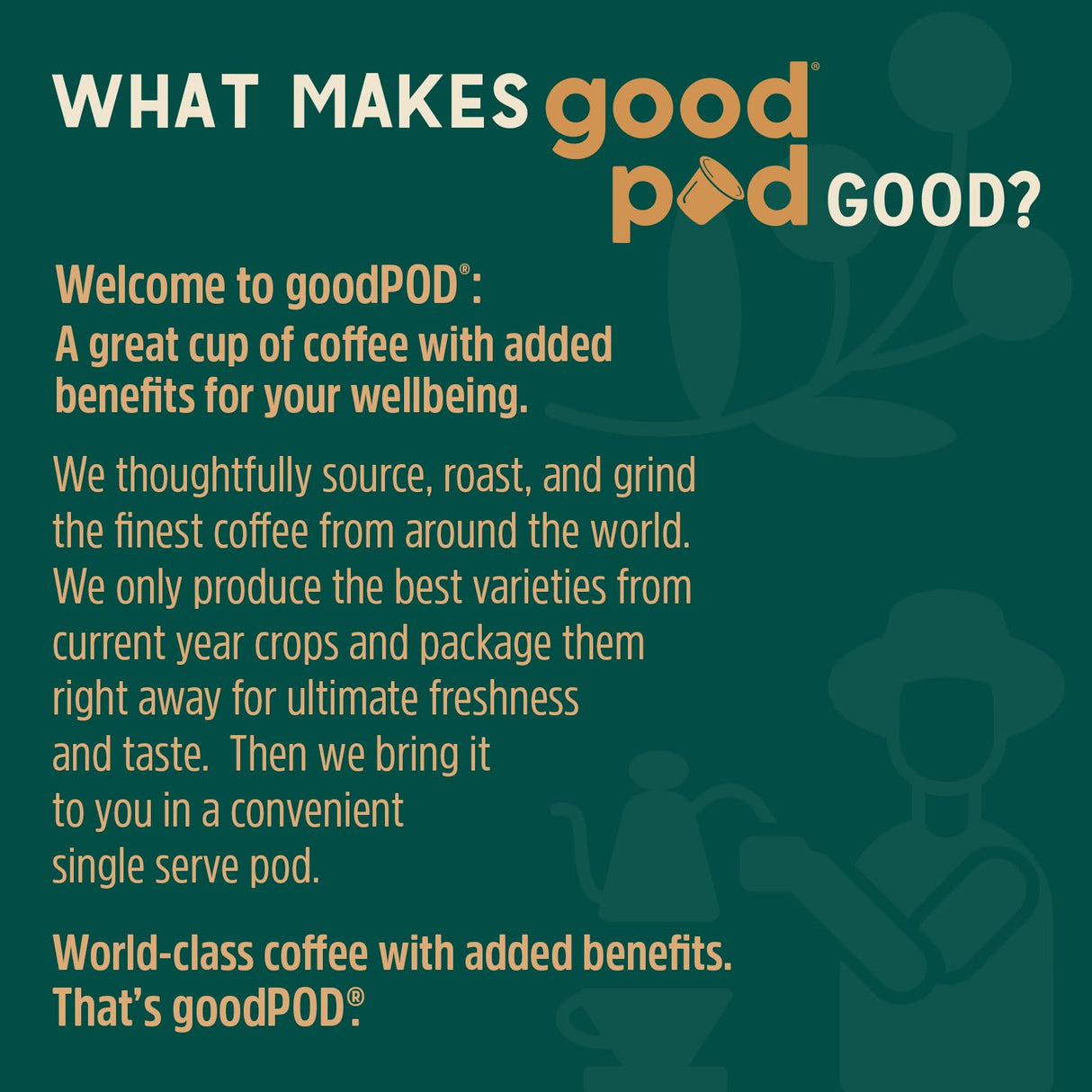 goodPOD Mood and Immune Support Single Serve Coffee K Cup Pods, Organic Arabica Coffee with Reishi & Chaga Mushrooms, Medium Roast, 12 Count