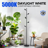 Barrina T1X5 Floor Grow Lights for Indoor Plants, 50W, 5000K, Full Spectrum, Adjustable 5 Heads, High PPFD, 6FT with Foot Switch, Vertical Plant Lights for Growing, Standing Grow Lights for Tall Plant