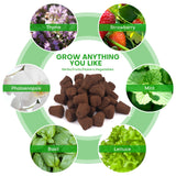 LAPOND 50 Pcs Grow Sponges,Replacement Plant Starter Plugs for Cuttings and Propagation,Great for Soil, Tray or Planting Pods, Promotes Herbs, Vegetables and Flowers Growth