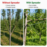 Limb Spreaders for Fruit Trees 21 PCS, 10 Inch Tree Limb Spreader, Metal Fruit Tree Branch Spreaders with Bark-Protective Rubber Hooks, Tree Branch Support for Apple Pear Cherry Plum (10 Inch)
