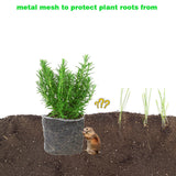 20 Packs Gopher Baskets 1 Gallon Stainless Steel Mesh Protects from Gophers