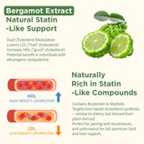 Advanced Cholesterol Supplements | Liquid-Filled Capsules for Better Absorption | Plant Sterols, Policosanol, Bergamot Extract | Triple-Action Formula,90 Capsules