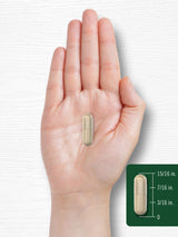 Carlyle Graminex Flower Pollen Extract | 1000 mg | 60 Capsules | Non-GMO & Gluten Free