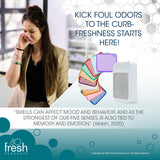 Fresh Products ourfreshe Plug In Air Freshener 30 Day Refills Replace Messy Aerosols with Dry Fragrance For Use in Medium Sized Spaces Cotton Blossom 6 Pack