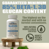Glucan Elite – 85% Beta 1,3D Glucan 500mg - 60 vcaps | 85% Minimum Active 1,3 Linkage Ultra-Potency Beta Glucan – Highest Bioavailability with BGF-Immune (Pack of 3)