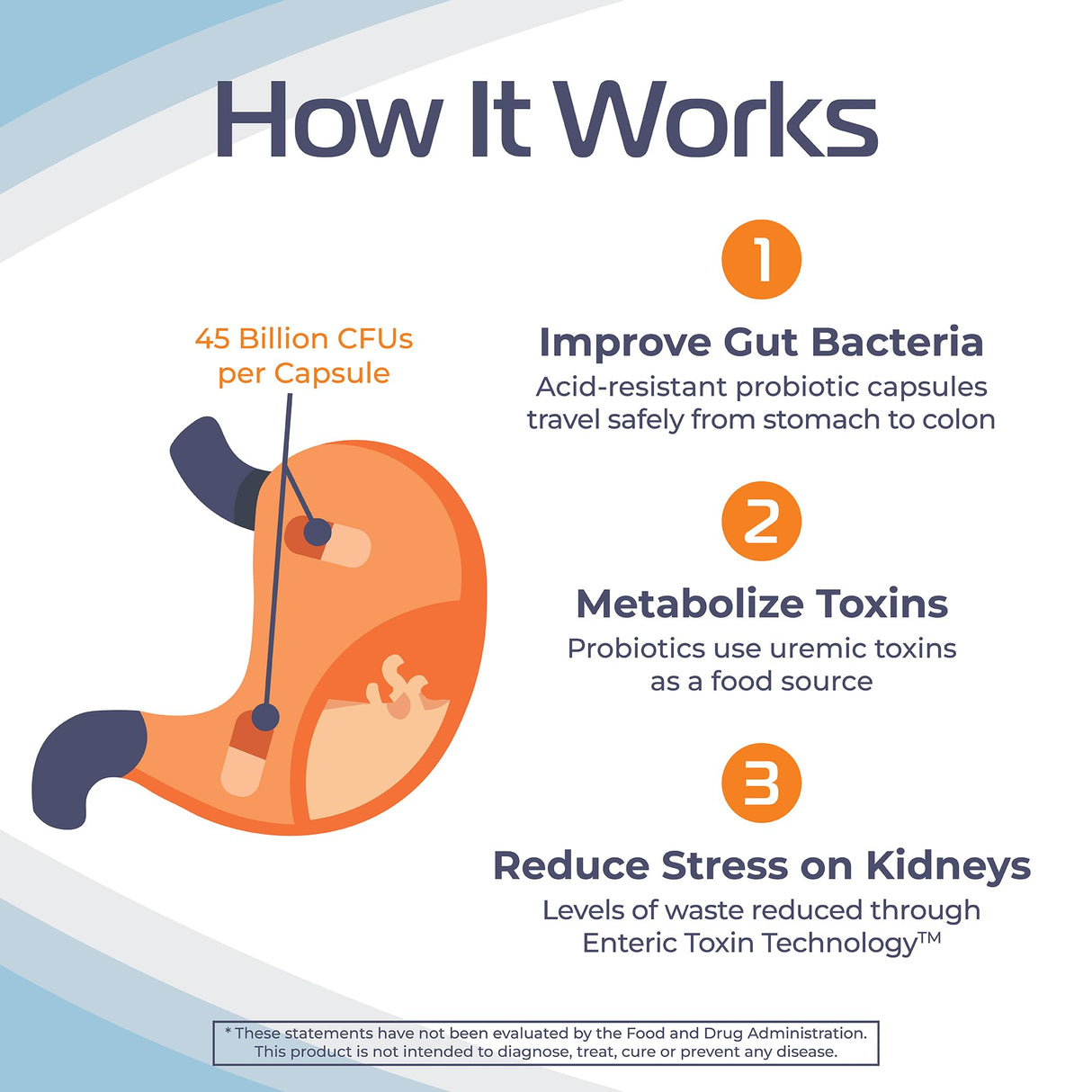 Renadyl Kidney Probiotic Supplement | Urea, Creatinine, & Uric Acid Support | 45 Billion CFUs | Clinically Tested, Non-GMO, & Made in USA, 180 Capsules (3 Bottles, 3 Month Supply)