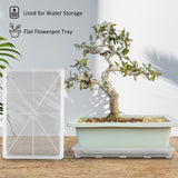 RooTrimmer Clear Seed Starter Trays 5 Pack(17"x11"x2"), Reusable Plastic Carrying Seedling & Nursery Trays, Durable Flat Pots Trays, Transparent Square Tray for Planting and Collecting Drainage Water
