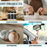 Christmas Fragrance Oil Set – Winter Essential Oils for Diffusers & Candle Making – Pine Frost, Gingerbread Bliss & Crimson Harmony – Holiday Gift Set – Made in USA – 3×20ml (2.03 fl oz)