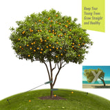 Tree Stakes and Supports, RIFNY Tree Straightening Kits for Leaning Tree