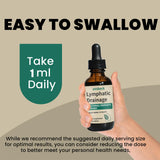 Lymphatic Drainage Drops, 2000mg Herbal Blend with Elderberry & Echinacea Dandelion，– Supports Lymphatic Drainage, Immune System & Detox 2 fl oz (1pcs)