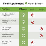 Moringa Capsules 9,000mg Herbal Equivalent, 240 Capsules – 4 Month Supply – Maximum Potency Pure Moringa Leaf Extract – Complete Green Superfood Supplement for Energy, Skin & Immune Health Support