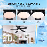 41 inch Ceiling Fans with Lights, Black Flush Mount Ceiling Fan with Remote, 3CCT, LED Dimmable, Reversible, 6 Fan Speeds, Quite Low Profile Ceiling Fan with Lights Modern Bedroom Kitchen Indoor