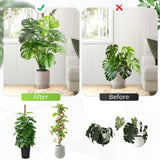 Moss Pole Monstera Plant Support 2 Pack 63 Inch Bendable Monstera Support