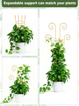 Whtawtaw 4Pcs 30" Indoor Plant Trellis for Potted Plants, Gold