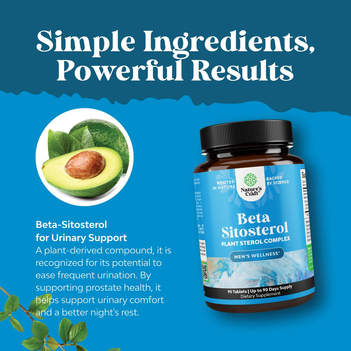 Natures Craft Plant Sterols Complex with Beta Sitosterol - 500mg Beta-Sitosterol Sterols and Stanols Supplement for Prostate Support - Prostate Health Supplement for Men - 90 Tablets