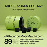 Motiv- Organic Matcha & Mushrooms Energy Gummies | 300 MG Concentrate Matcha Green Tea + Mushroom Blend | Improve Brain Function, Immune Support, Gut Health, Reduce Stress - Vegan, Non-GMO