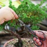 Bonsai Tools Set 13Pcs, Bonsai Essentials with PU Leather Bag, High Carbon Steel Succulent Trimming Kit, for Pruning, Raking, Training Plants, Ideal Gardening Gifts