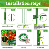 Fabulas 3 Pack Tomato Cages - Tomato Trellis Plant Support Stake Cage for Garden and Pots, Adjustable Tomato Plant Cage Tall Up to 48 Inch for Raised Garden Bed Outdoor Climbing Plants Vegetables