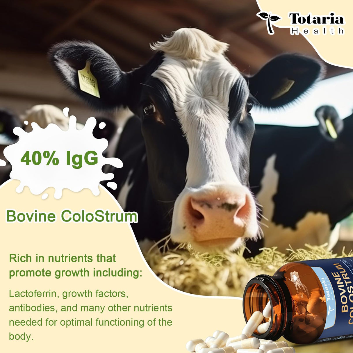 Totaria Bovine Colostrum Supplement Capsules for Gut Health, Hair Growth, Beauty and Immune Support - USA Farm Grass Fed - No Fillers, GMP Certified Calostro Bovino para Adultos Organico, 60 Servings