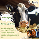 Totaria Bovine Colostrum Supplement Capsules for Gut Health, Hair Growth, Beauty and Immune Support - USA Farm Grass Fed - No Fillers, GMP Certified Calostro Bovino para Adultos Organico, 60 Servings