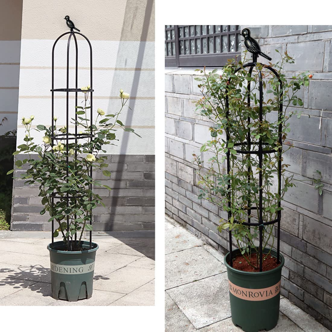 Garden Trellis for Climbing Plants Outdoor, Metal Plant Trellis with PE Coated, Rustproof Plant Support for Flowers Vegetable Vine, Tomato cage for Potted Plants Indoor Outdoor,Lightweight - 2 Pack