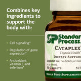 Standard Process Inc. Cataplex E - Whole Food RNA Supplement and Antioxidant with D-Alpha Tocopherol Vitamin E, Beet Root, Ascorbic Acid, Inositol, Selenium, and Honey - 90 Tablets