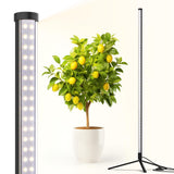 Barrina Vertical Grow Light T10, 42W 5000K, Full Spectrum LED Plant Light for Indoor,Standing Wide Coverage, 4FT Height with On/Off Switch and Tripod Floor Stand