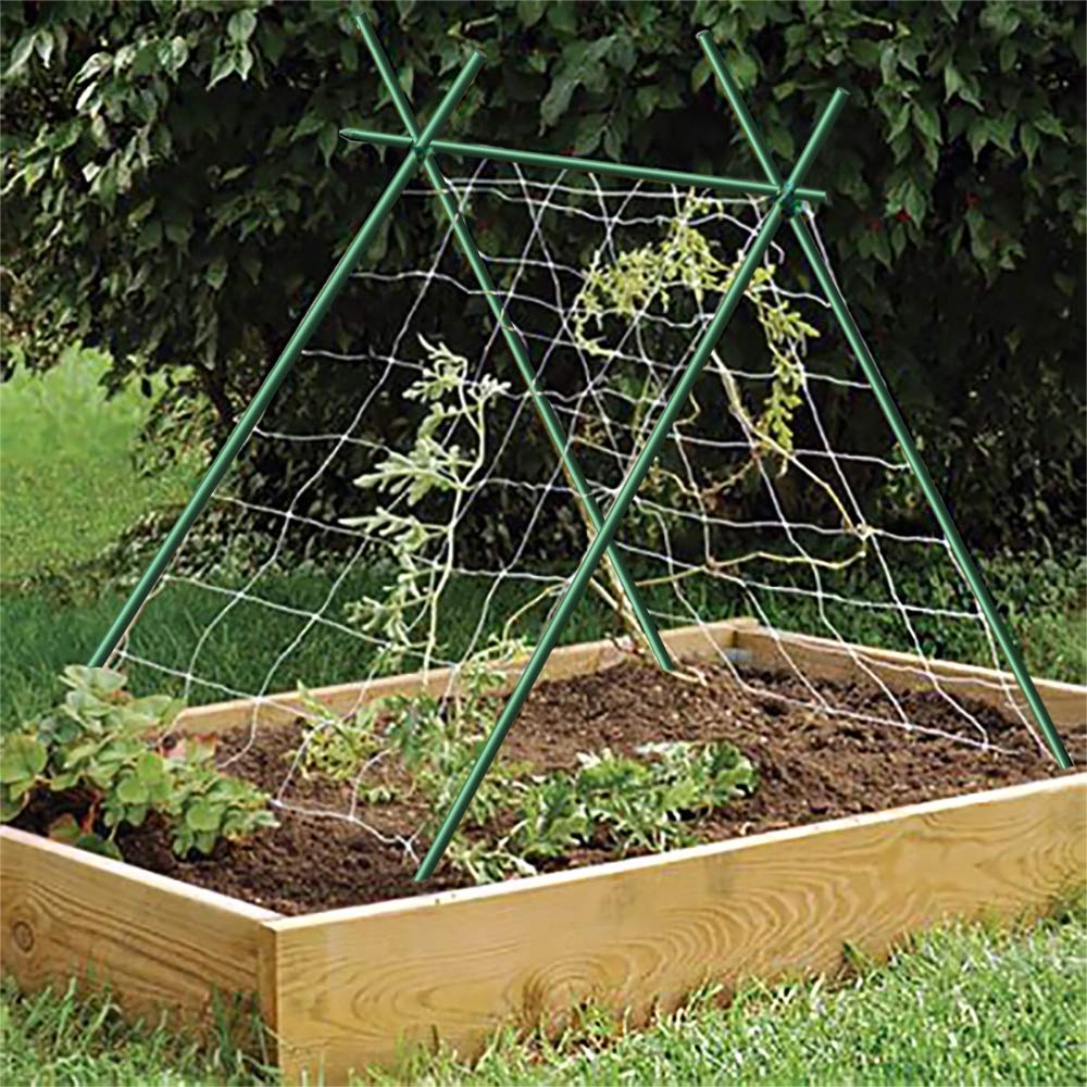 EcoStake, 72inch Garden Stakes for Plants Tree Stakes Fence Post Fiberglass Rod 6 Feet, 50 Packs, 3/8-Inch Dia