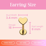 Cords Club Heart Flat Back Stud- Hypoallergenic Titanium Women's Earring