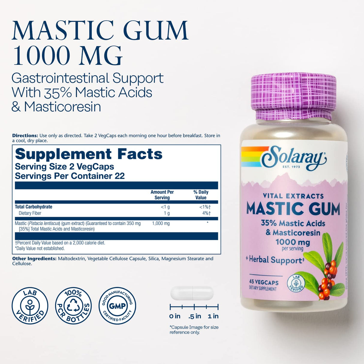 SOLARAY Mastic Gum Extract 500 mg 45 Count