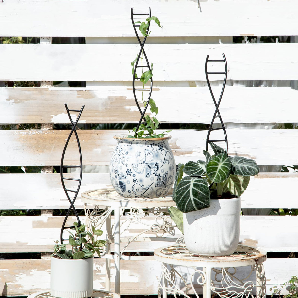 Goooxim DNA Spiral Plant Trellis Indoor - Durable Metal Trellis for Potted
