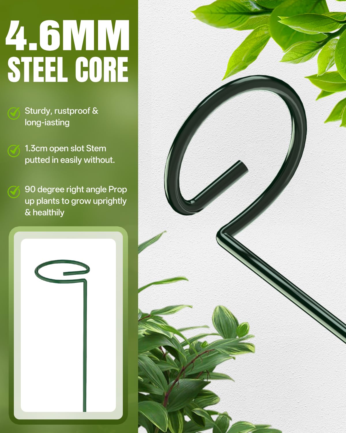 12 Pack 36 Inch Plant Support Stakes for Outdoor Plants and Indoor Flowers