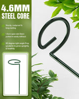 12 Pack 36 Inch Plant Support Stakes for Outdoor Plants and Indoor Flowers