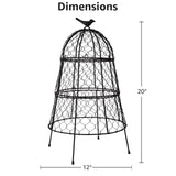 Garden Cloches for Plants, Large Plant Protectors from Animals, Pack 6